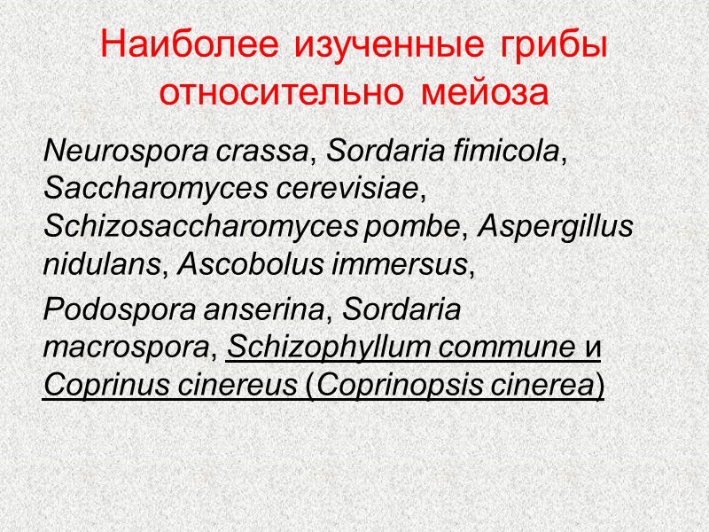 Наиболее изученные грибы относительно мейоза    Neurospora crassa, Sordaria fimicola, Saccharomyces cerevisiae,